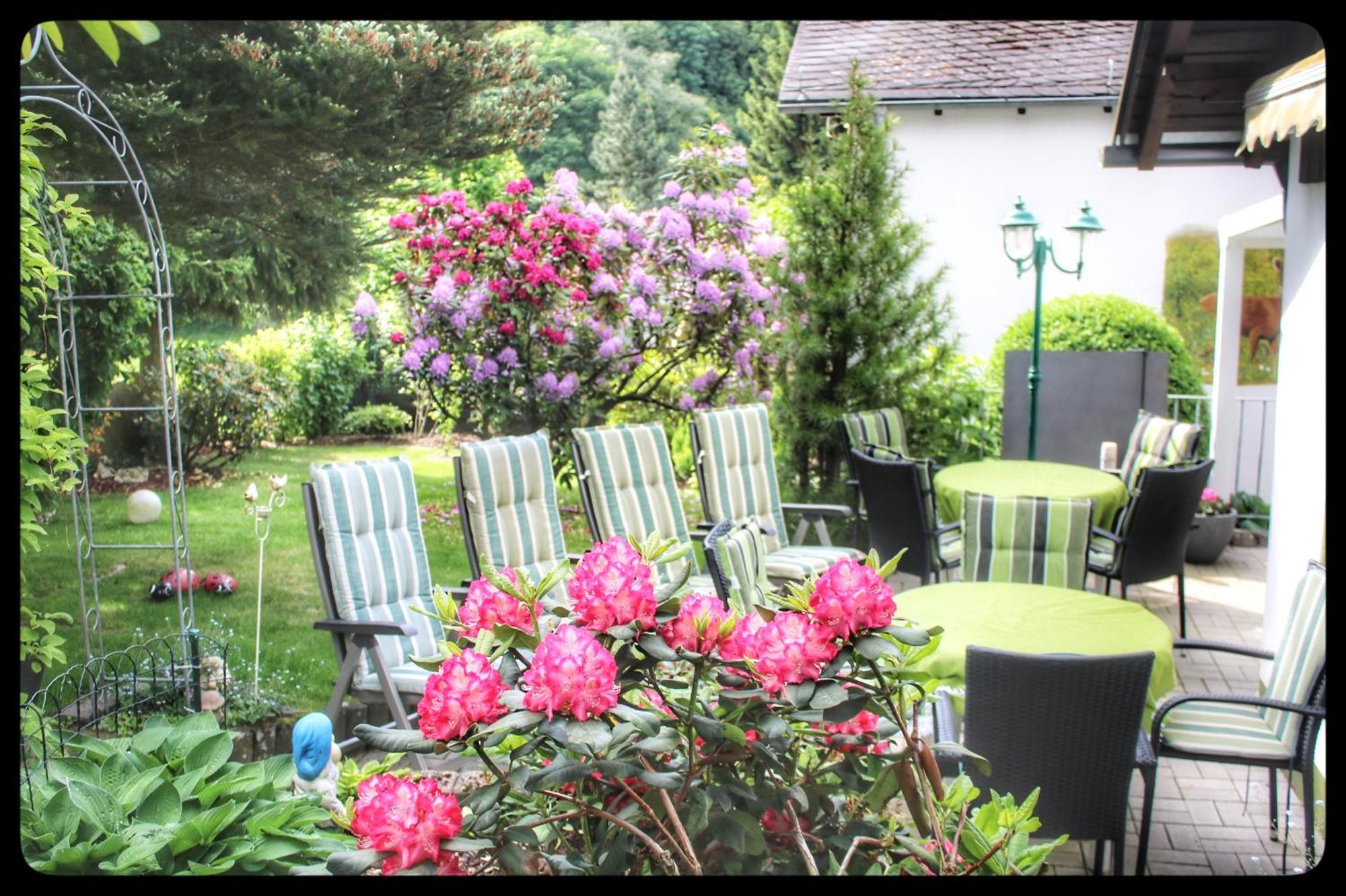 Pension Sonnenheim Winterberg Exterior foto