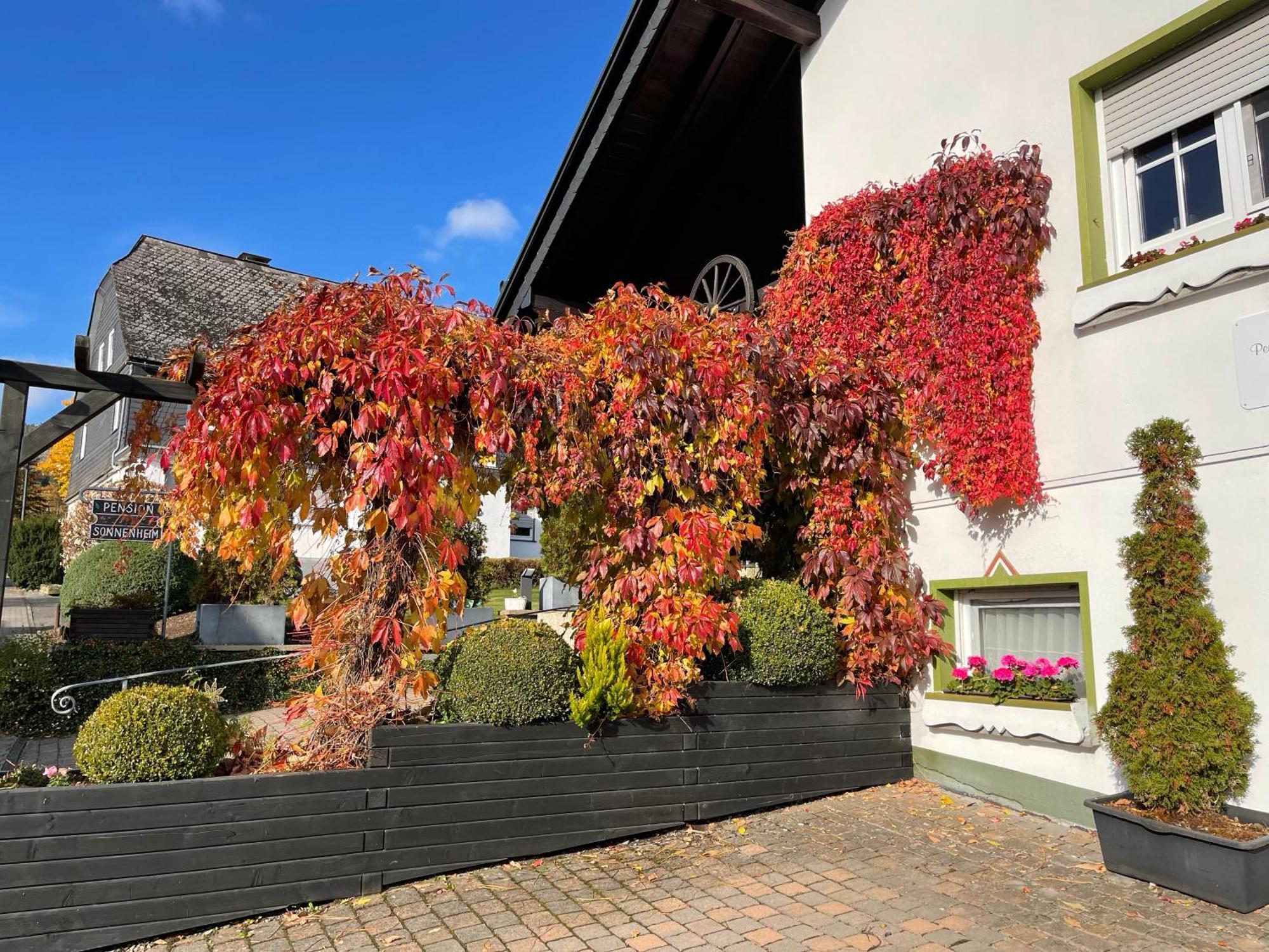 Pension Sonnenheim Winterberg Exterior foto